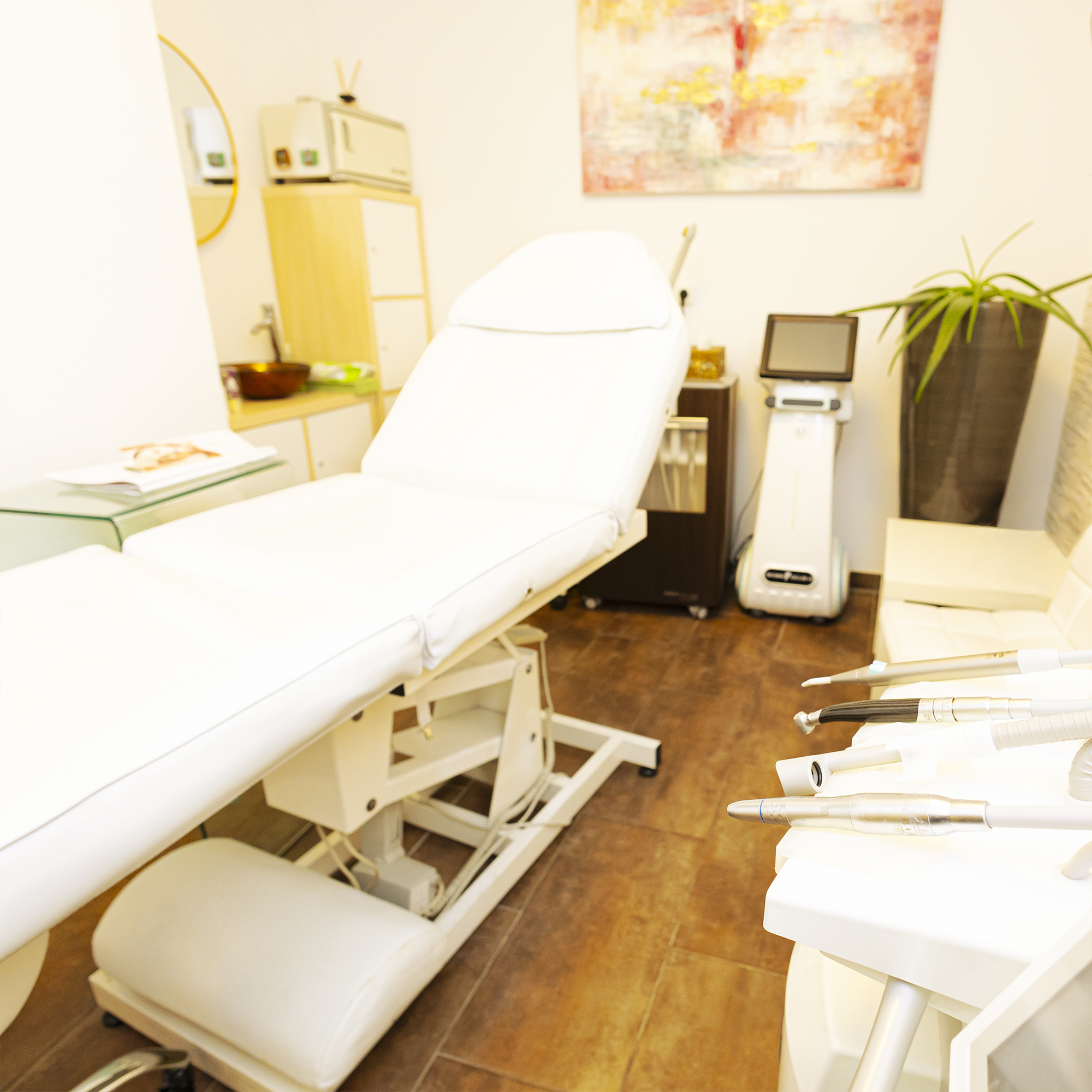 Maribel Y. Homm - Studio Wels